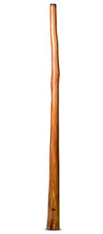 Tristan O'Meara Didgeridoo (TM314)